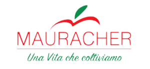 Mauracher